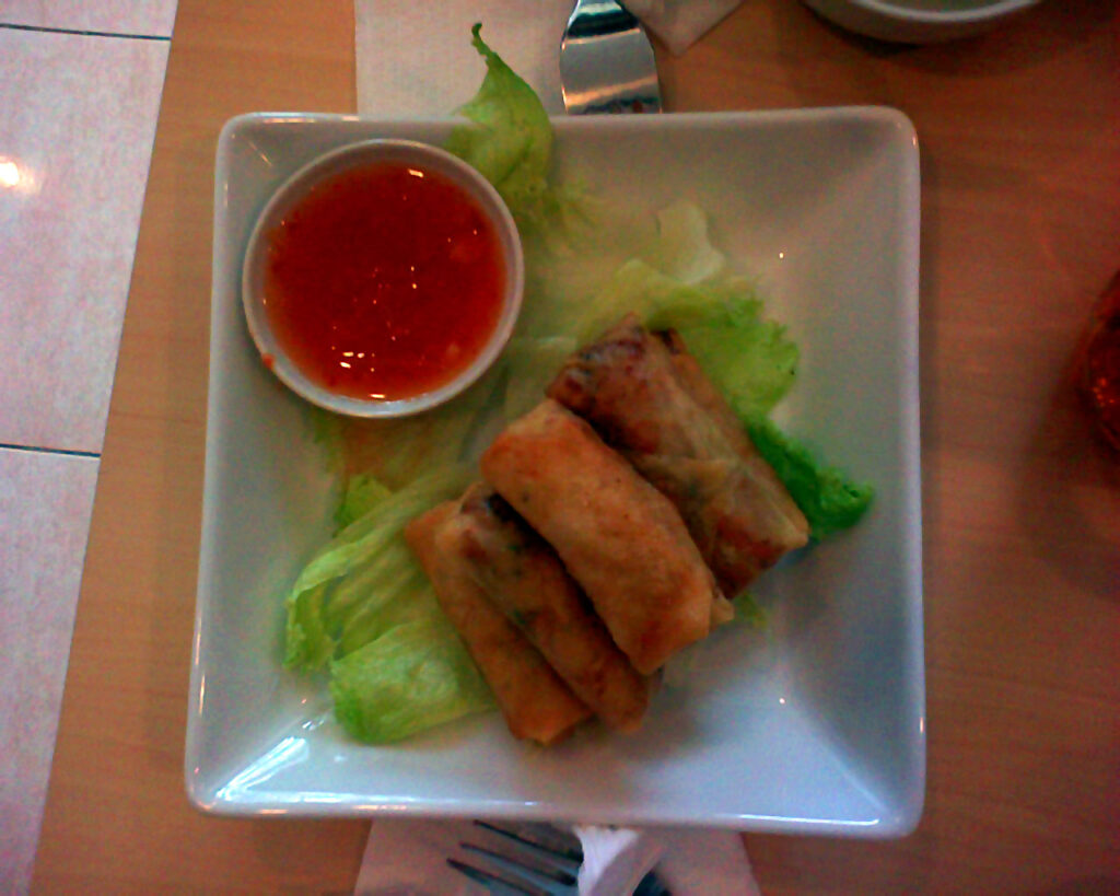 Peluang Usaha Bisnis Lumpia - Duniamesin.com
